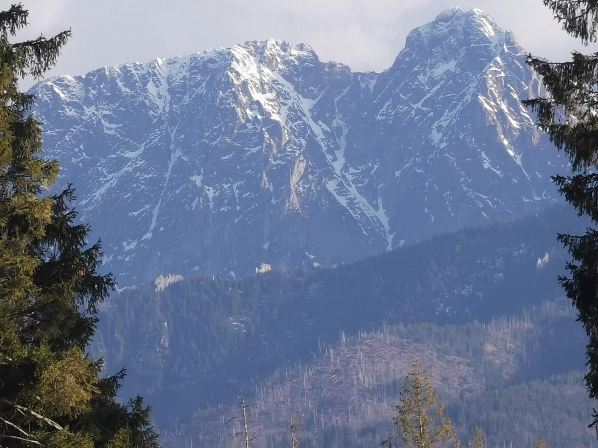Malowany Domek W Gorach Ciche  Zewnętrze zdjęcie